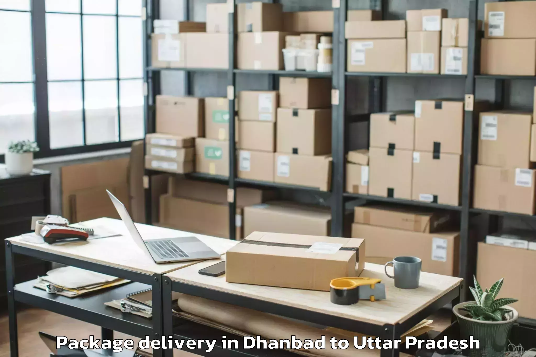 Top Dhanbad to Chandra Shekhar Azad Universit Package Delivery Available